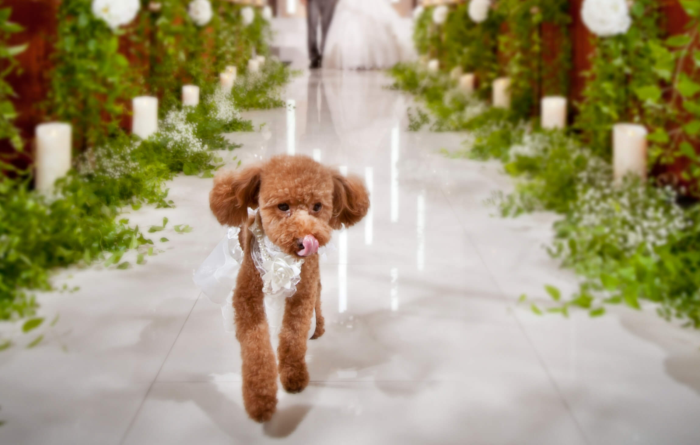 スタジオ撮影イメージ