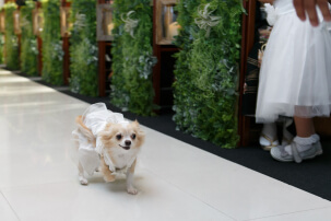 撮影イメージサムネイル