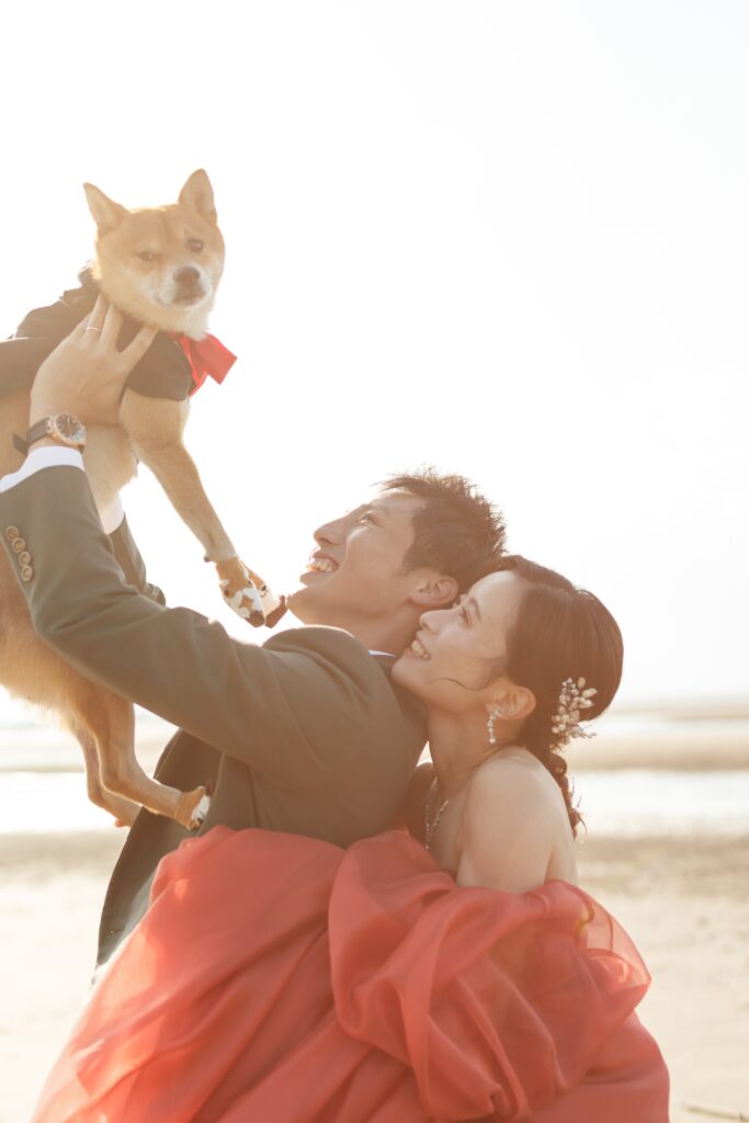 真玉海岸の写真です