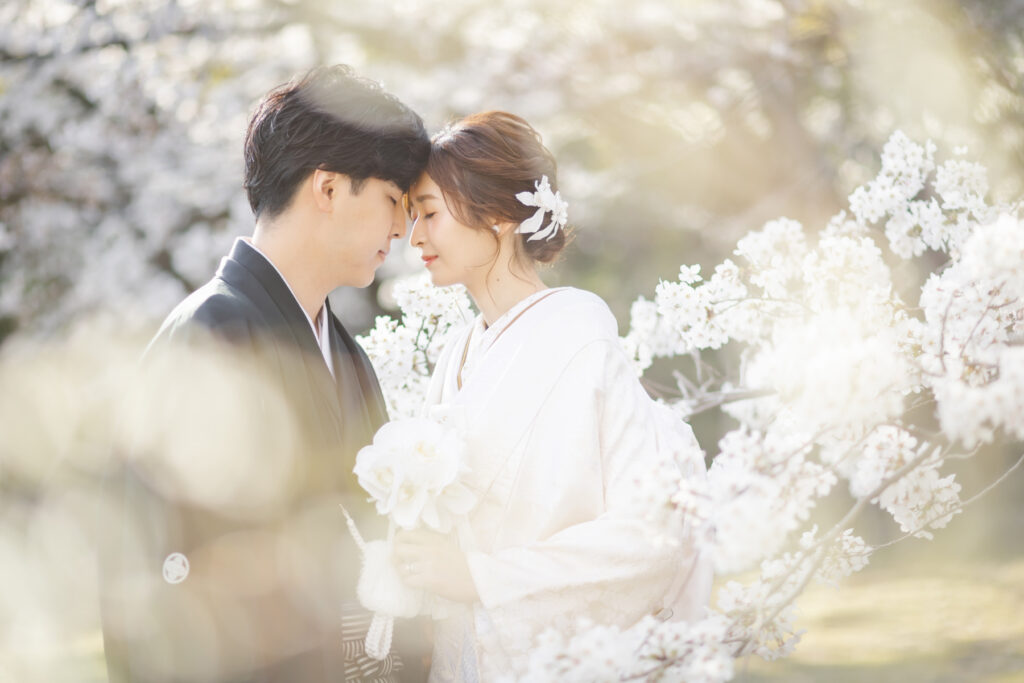 【早割3万円OFF】2026桜ロケ撮影プラン🌸